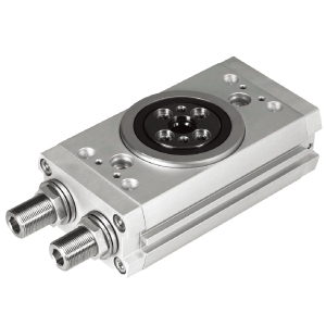 Rotary actuator DRRD